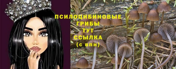 СК Иннополис