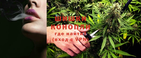 мет Инта