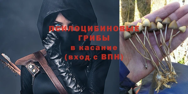 мет Инта
