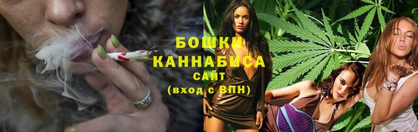спайс Инсар