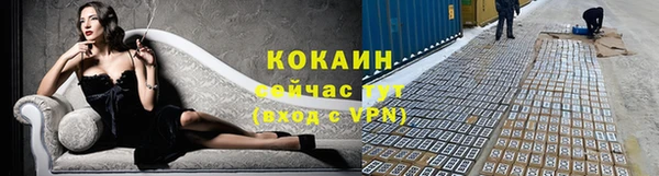 мет Инта