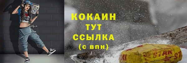 мет Инта